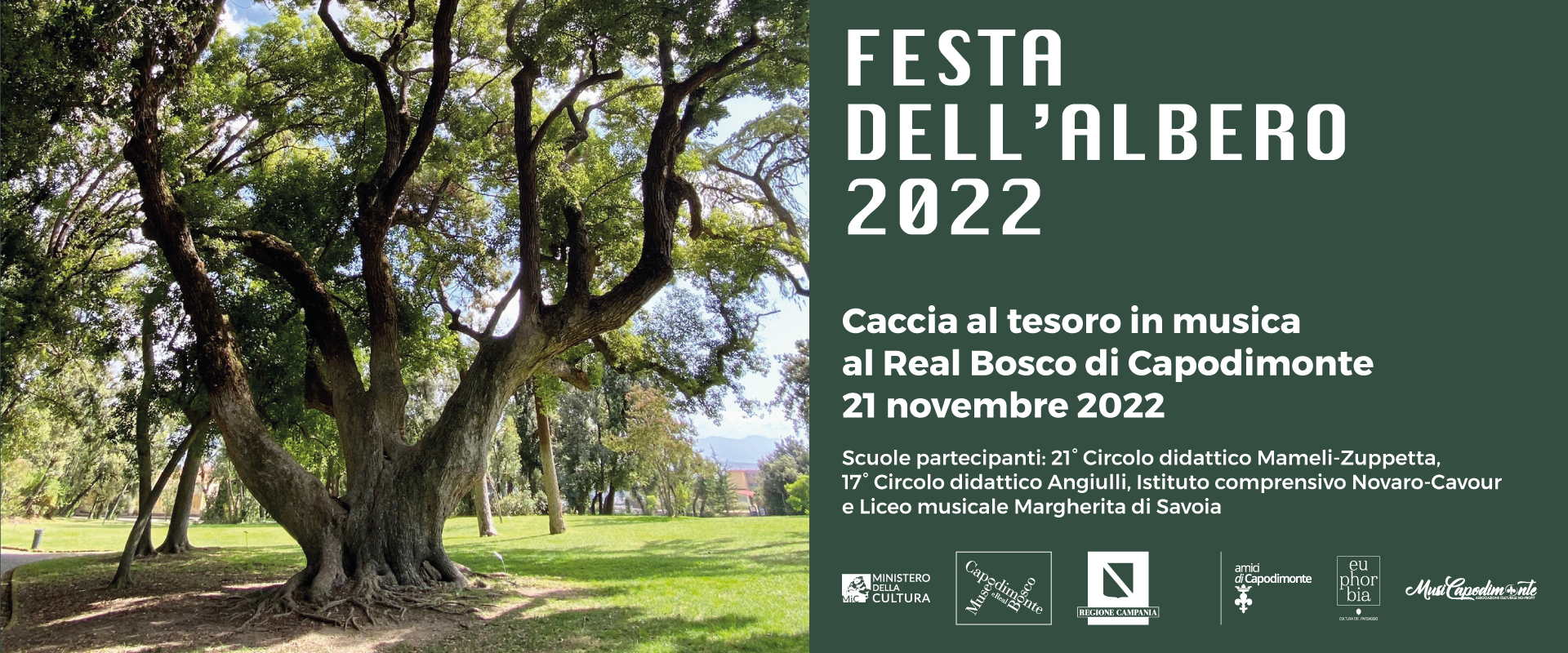 Al momento stai visualizzando <strong>FESTA DELL’ALBERO 2022<br>Indovina…l’albero!<br>Caccia al tesoro in musica</strong><h2></p>21 novembre 2022 ore 10.00</p>Real Bosco di Capodimonte<br>Giardino dei Principi</p>Promossa dal<br>Museo e Real Bosco di Capodimonte<br>con Amici di Capodimonte<br>Euphorbia srl<br>e MusiCapodimonte</h2>