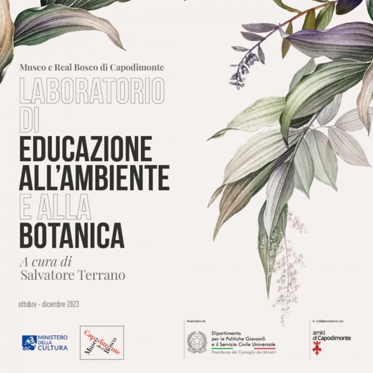 Scopri di più sull'articolo <strong><i>Laboratorio di educazione</br>all’ambiente e alla botanica</p>al Real Bosco di Capodimonte</i></strong></p>ottobre – dicembre 2023</br>