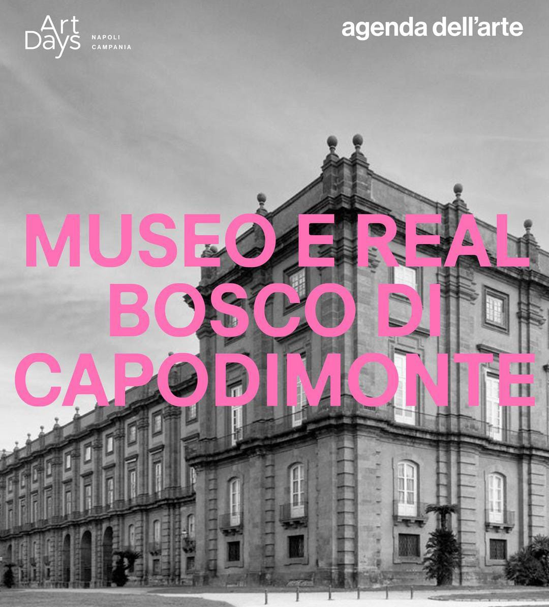 Al momento stai visualizzando <strong>Art Days – Napoli Campania 2024</br>Museo e Real Bosco di Capodimonte</strong></p>SPECIALI VISITE GUIDATE</p>promosse da <strong>Museo e Real Bosco di Capodimonte</strong></br>in collaborazione con<strong> Amici di Capodimonte</strong></p>Real Bosco di Capodimonte</p><strong>26 e 27 ottobre 2024</strong>