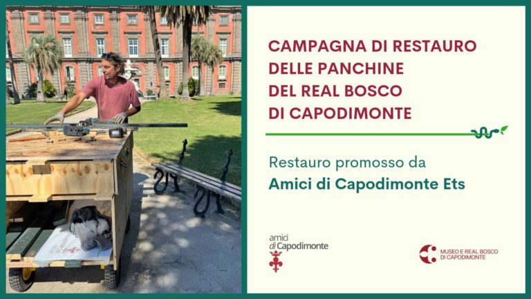 Scopri di più sull'articolo <strong>Campagna di restauro delle panchine</br>del Real Bosco di Capodimonte</p></strong>Museo e Real Bosco di Capodimonte